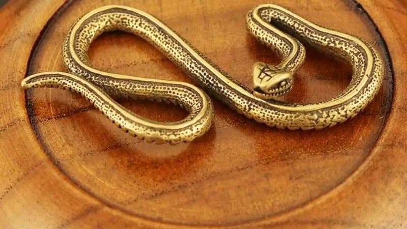 Mơ thấy rắn vào nhà
