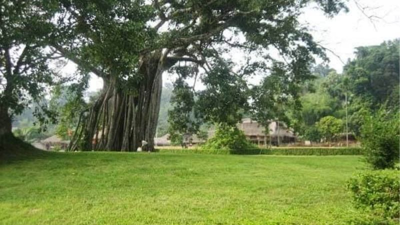 Mỗi một chi tiết trong giấc mơ mang lại hình ảnh khác nhau